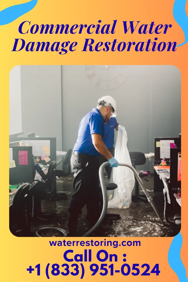 Commercial Water Damage Restoration in Felida, WA