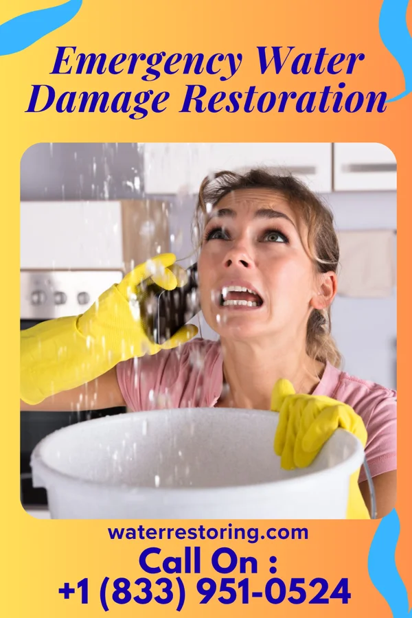 Emergency Water Damage Restoration in Felida, WA
